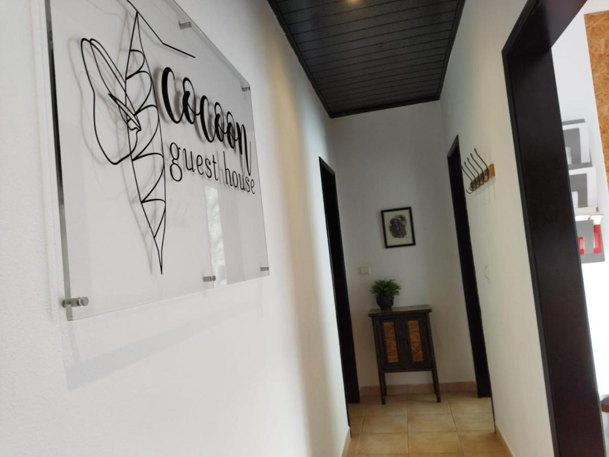 Casulo Guest House Vendas Novas Εξωτερικό φωτογραφία